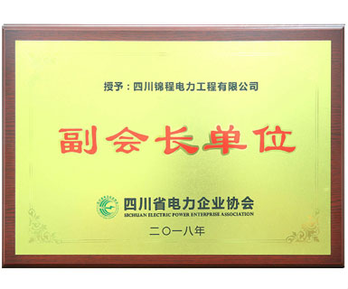 四川省電力企業(yè)協(xié)會(huì)副會(huì)長(zhǎng)單位